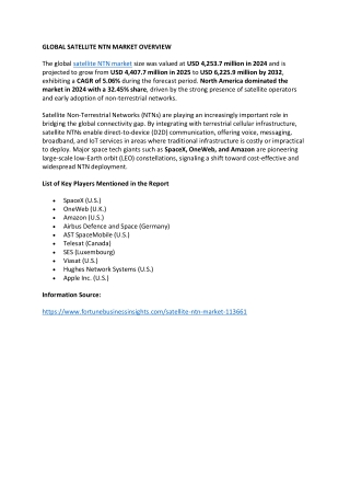 SATELLITE NTN MARKET