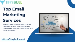 TinyBull Top Email Marketing Services for Targeted Campaigns