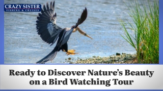 Ready to Discover Nature’s Beauty on a Bird Watching Tour