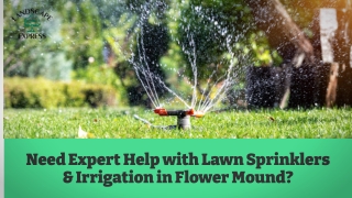Need Expert Help with Lawn Sprinklers & Irrigation in Flower Mound