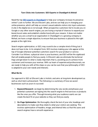 Turn Clicks into Customers SEO Experts in Chandigarh & Mohali