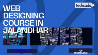 WEB DESIGNING COURSE IN JALANDHAR