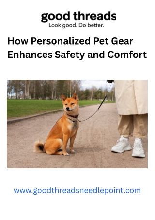 How Personalized Pet Gear Enhances Safety and Comfort