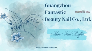 Mini Nail Buffer - Fantasticnailart.com