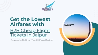 Get the Lowest Airfares with B2B Cheap Flight Tickets in Jaipur