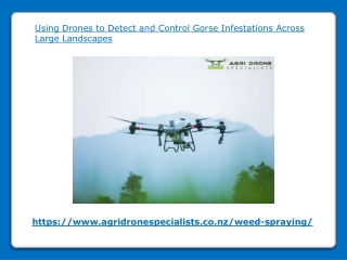 Using Drones to Detect and Control Gorse Infestations Across Large Landscapes