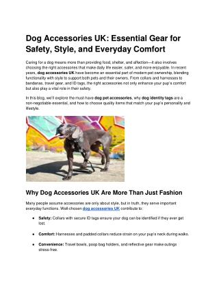 Dog Accessories UK: Essential Gear for Safety, Style, and Everyday Comfort