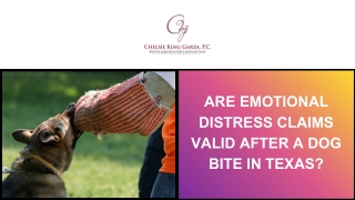 Are Emotional Distress Claims Valid After a Dog Bite in Texas?