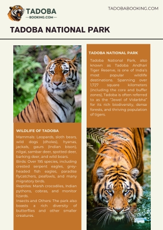 Canter Safari Booking in Tadoba National Park
