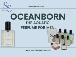 Best Budget Perfume for Men – Sagittarius Scent