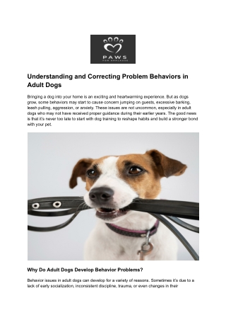 Understanding and Correcting Problem Behaviors in Adult Dogs
