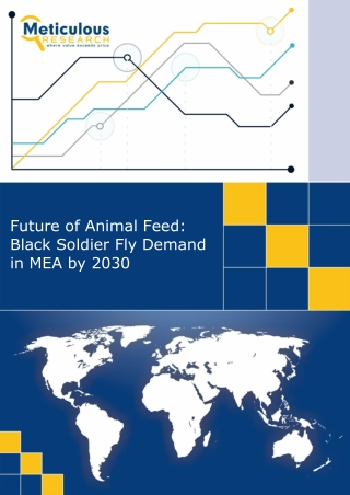 Black Soldier Fly Market Forecast: Why MEA Is the Next Big Opportunity