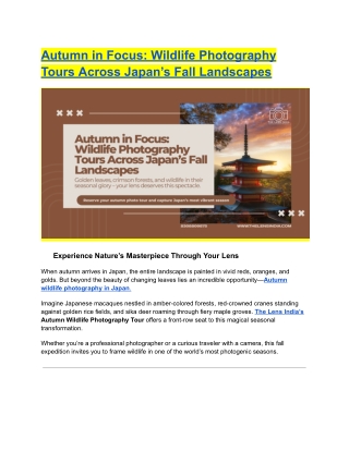 Autumn in Focus: Wildlife Photography Tours Across Japan’s Fall Landscapes