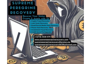 Recovery of Stolen Ethereum Wallet. Hire: Supreme Peregrine Recovery.