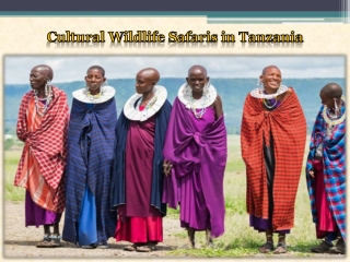 Cultural Wildlife Safaris in Tanzania