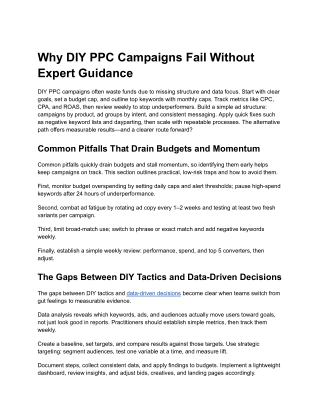 Why DIY PPC Campaigns Fail Without Expert Guidance