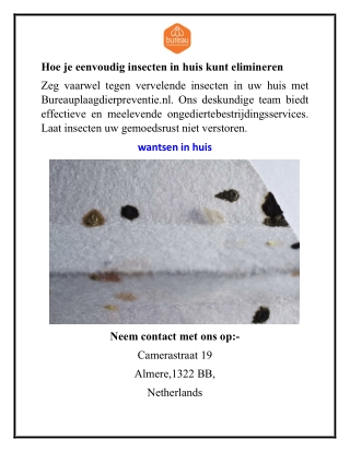 Hoe je eenvoudig insecten in huis kunt elimineren