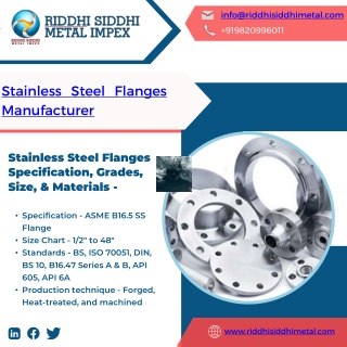 Stainless Steel Flanges | IBR Approved Flanges | EIL Flanges | Thermowell Flange