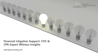 Financial Litigation Support: CFO & CPA Expert Witness Insights