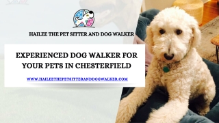 Experienced Dog Walker for Your Pets in Chesterfield