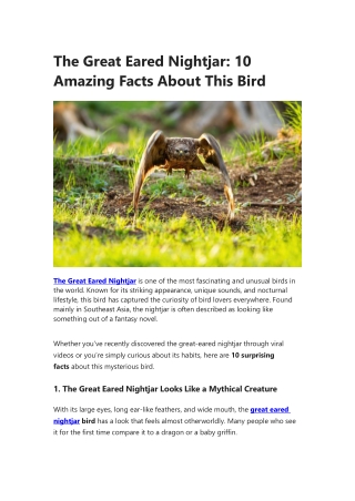 The Great Eared Nightjar: Facts about this bird
