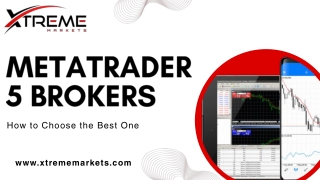 MetaTrader 5 Brokers – How to Choose the Best One