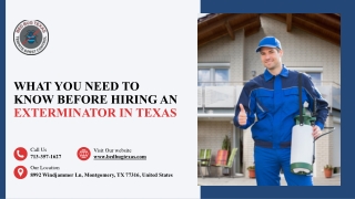 What You Need to Know Before Hiring an Exterminator in Texas