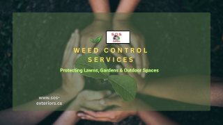 Weed Control Solutions: Safe, Eco-Friendly & Effective