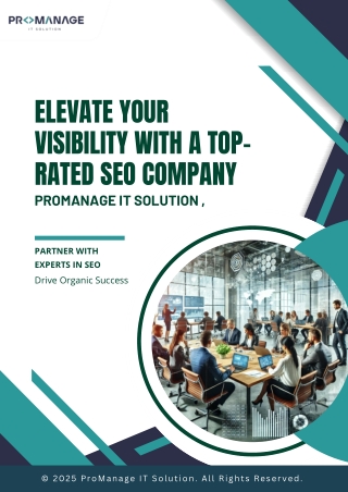 PMITS SEO company  PDF