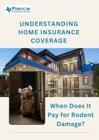 Understanding Home Insurance Coverage_ When Does It Pay for Rodent Damage_