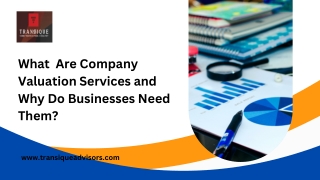 What  Are Company Valuation Services and Why Do Businesses Need Them?