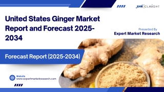 United States Ginger Market Growth and Forecast 2034