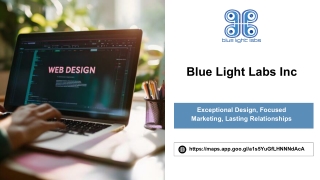 Georgia Contractor Web Designers Rock as the Industry Booms and Seeking Impactful Web Design