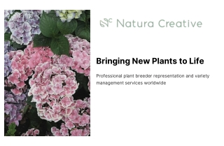 Natura Creative – Protecting Plant Breeder Rights with Care