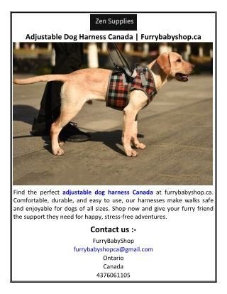 Adjustable Dog Harness Canada