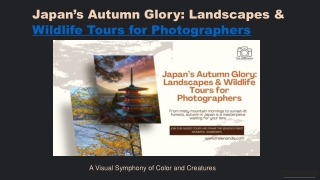 Japan’s Autumn Glory: Landscapes & Wildlife Tours for Photographers