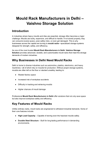 Mould Rack Manufacturers in Delhi – Vaishno Storage Solution