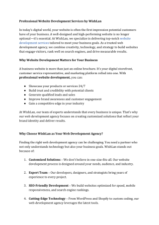 Professional Website Development Services by WishLan