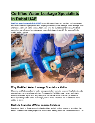 Certified Water Leakage Specialists in Dubai UAE