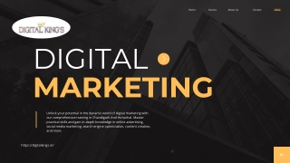 Best Digital Marketing Course in Chandigarh Learn from Online