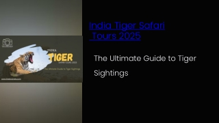 India-Tiger-Safari-Tours-2025 (3)