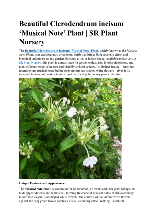Beautiful Clerodendrum incisum ‘Musical Note’ Plant | SR Plant Nursery