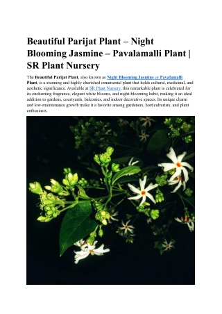 Beautiful Parijat Plant – Night Blooming Jasmine – Pavalamalli Plant | SR Plant