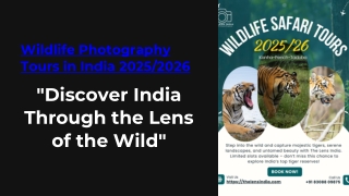 Wildife Photography Tours 2025-26