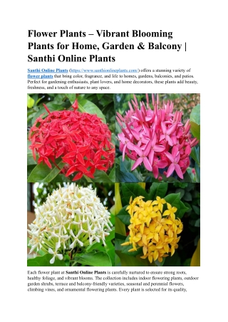 Flower Plants – Brighten Your Garden with Vibrant Blooms | Santhi Online