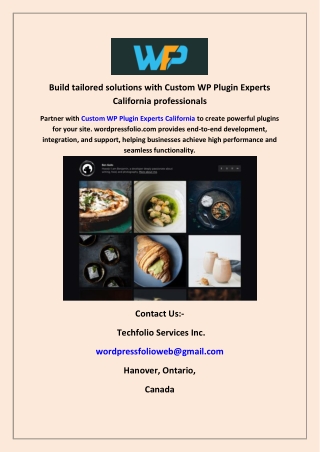 Build tailored solutions with Custom WP Plugin Experts California professionals