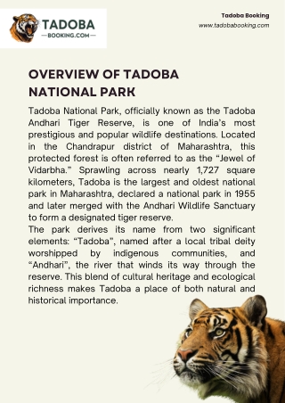 Overview of Tadoba National Park
