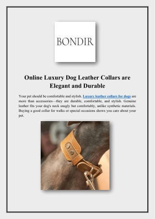 Online Luxury Dog Leather Collars are Elegant and Durable