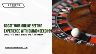 11xplay Pro – Online Cricket Betting and Live Casino Games
