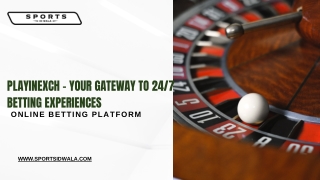 Playinexch – Your Gateway to 247 betting experiences